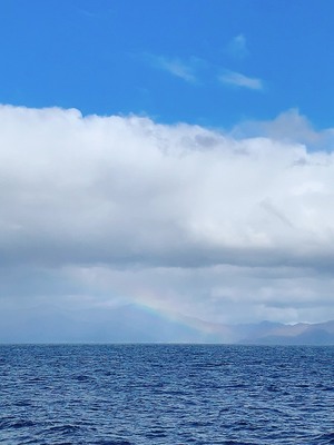 Stella Mccartney ルーシュ オレンジ プリント ビーチバッグ 着飾る恋には理由があって を探しています コレカウ Jp